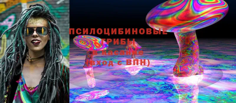 Псилоцибиновые грибы MAGIC MUSHROOMS  купить   Лахденпохья 